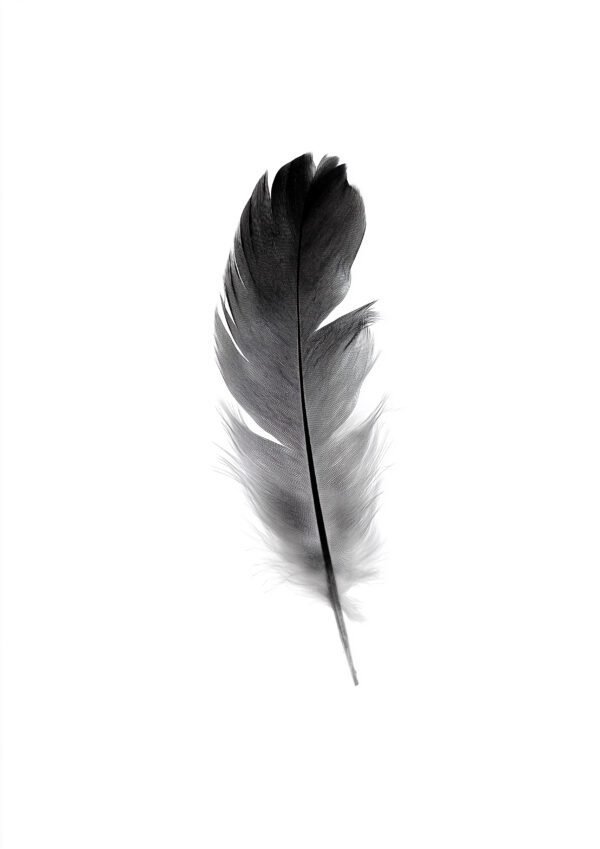 Pluma suspendida