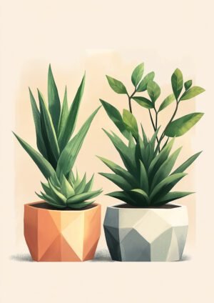 Suculentas en Macetas Geométricas